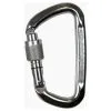 CT Climbing Technology D-Shape SG Moschettone Ghiera Arrampicata -negozio di attrezzature per il fitness ct climbing technology d shape sg lucido 1