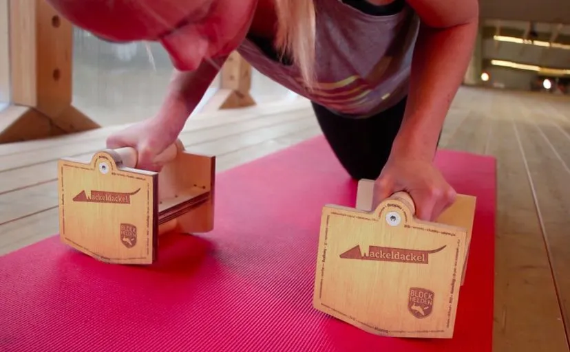 Block Helden Wackeldackel Parallettes Per Flessioni 8 Block Helden Wackeldackel Parallettes Per Flessioni - immagine 6